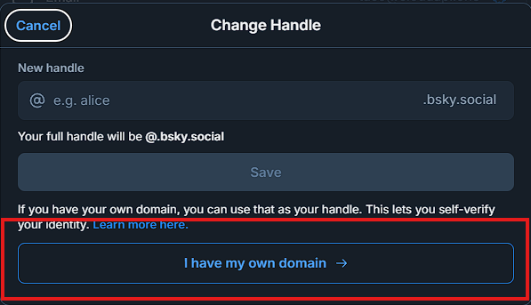 Screenshot showing the No DNS panel option